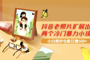 （3703期）抖音老照片扩展出的两个冷门暴力小项目，小白照抄也能日撸500+-麦资源网