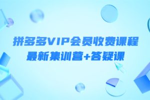 （4127期）某社群·拼多多VIP会员收费课程，最新集训营+答疑课-价值3299元-麦资源网