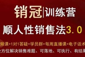 爆款！销冠训练营3.0之顺人性销售法，全方位解决销售难题、可落地、可执行、有结果-麦资源网