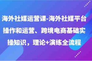 海外社媒运营课-海外社媒平台操作和运营、跨境电商基础实操知识，理论+演练全流程-麦资源网
