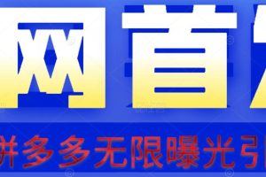 【首发】拆解拼多多如何日引100+精准粉(附脚本+视频教程)【揭秘】-麦资源网