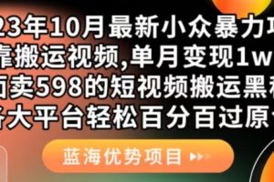 2023年10月最新小众暴力项目，靠搬运视频,单月变现1w+，外面卖598的短视频搬运黑科技，各大平台轻松百分百过原创-麦资源网