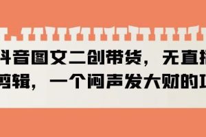 抖音图文二创带货，无直播，不剪辑，一个闷声发大财的项目【揭秘】-麦资源网