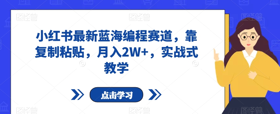 小红书*蓝海编程赛道，靠复制粘贴，月入2W+，实战式教学【揭秘】