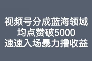 视频号分成蓝海领域，均点赞破5000，速速入场暴力撸收益-麦资源网