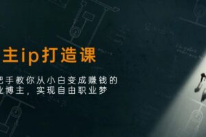 （11109期）博主ip打造课：手把手教你从小白变成赚钱的创业博主，实现自由职业梦-麦资源网