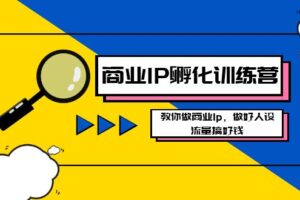 （8539期）商业IP-孵化训练营新版，教你做商业Ip，做好人设，流量搞好钱-麦资源网