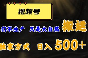 视频号轻松搬运日赚500+，一个1分钟1条原创视频【揭秘】-麦资源网