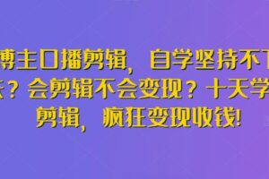 博主口播剪辑，自学坚持不下去？会剪辑不会变现？十天学会剪辑，疯狂变现收钱!-麦资源网