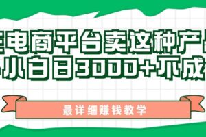 （11206期）最新在电商平台发布这种产品，新手小白日入3000+不成问题，最详细赚钱教学-麦资源网