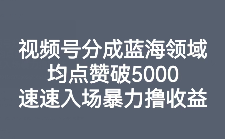 视频号分成蓝海领域，均点赞破5000，速速入场*撸收益