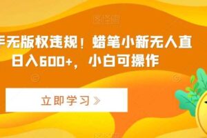 最新快手无版权违规！蜡笔小新无人直播，日入600+，小白可操作【揭秘】-麦资源网