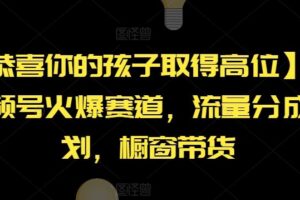 【恭喜你的孩子取得高位】AI视频号火爆赛道，流量分成计划，橱窗带货【揭秘】-麦资源网