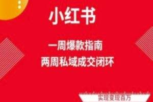 爆款小红书免费流量体系课程(两周变现)，小红书电商教程-麦资源网