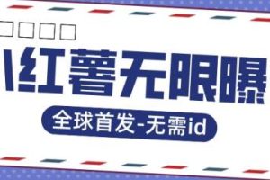 全球首发-小红薯无需id无限曝光术-比苹果15更香的技术-麦资源网
