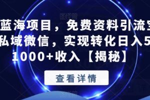 长期蓝海项目,免费资料引流宝妈粉到私域微信,实现转化日入500-1000+收入【揭秘】-麦资源网