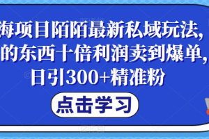 蓝海项目陌陌最新私域玩法，20 的东西十倍利润卖到爆单，日引300+精准粉【揭秘】-麦资源网