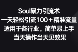 Soul暴力引流术，一天轻松引流100＋精准流量，适用于各行业，简单易上手！-麦资源网