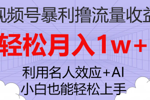（7652期）视频号暴利撸流量收益，小白也能轻松上手，轻松月入1w+-麦资源网