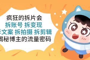 （5489期）疯狂的拆片会：拆账号 拆变现 拆文案 拆拍摄 拆剪辑  揭秘博主的流量密码-麦资源网