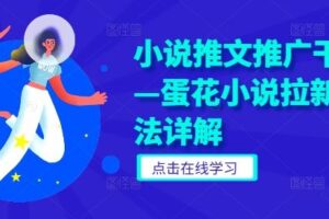 小说推文推广干货—蛋花小说拉新玩法详解-麦资源网