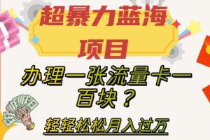 超暴力蓝海项目，办理一张流量卡一百块？轻轻松松月入过万，保姆级教程【揭秘】-麦资源网