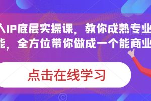 蟹老板·打爆个人IP底层实操课，教你成熟专业的打造IP技能，全方位带你做成一个能商业化IP-麦资源网