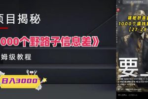 1000个野路子信息差保姆式教程-单日变现3000+的玩法解密-麦资源网