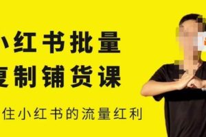 张宾·小红书批量复制铺货课，小红书0-1快速起号变现玩法，抓住小红书的流量红利（更新2023年3月）-麦资源网