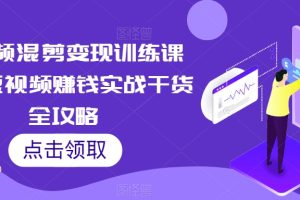 短视频混剪变现训练课程,短视频赚钱实战干货全攻略-麦资源网