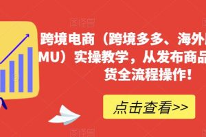 跨境电商(跨境多多、海外版多多TEMU)实操教学,从发布商品到售卖发货全流程操作!-麦资源网