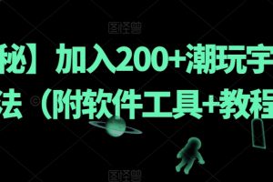 【揭秘】加入200+潮玩宇宙新玩法（附软件工具+教程）-麦资源网