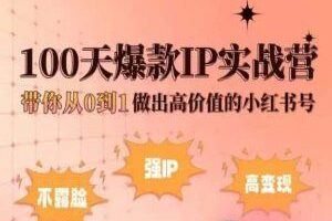 小红书100天爆款IP实战营,带你从0到1做出高价值的小红书号-麦资源网
