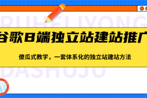 谷歌B端独立站建站推广，傻瓜式教学，一套体系化的独立站建站方法（83节）-麦资源网