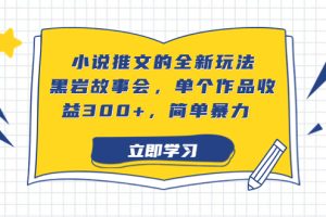 （6849期）小说推文的全新玩法，黑岩故事会，单个作品收益300+，简单暴力-麦资源网