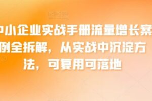 中小企业实战手册流量增长案例全拆解，从实战中沉淀方法，可复用可落地-麦资源网