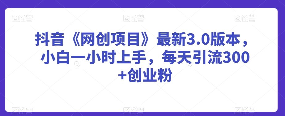 抖音《网创项目》*3.0版本，小白一小时上手，每天引流300+创业粉【揭秘】