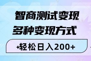 （8049期）智商测试变现，轻松日入200+，几分钟一个视频，多种变现方式（附780G素材）-麦资源网