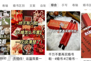 （6679期）黄岛主小红书AI订婚书变现副业项目，视频版一条龙-麦资源网