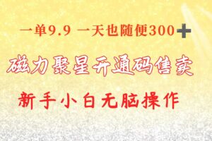 （10519期）快手磁力聚星码信息差 售卖  一单卖9.9  一天也轻松300+ 新手小白无脑操作-麦资源网