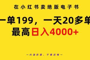 （9401期）在小红书卖绝版电子书，一单199 一天最多搞20多单，最高日入4000+教程+资料-麦资源网