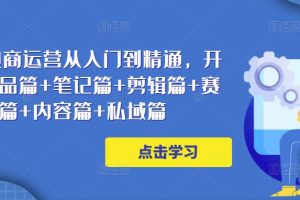 小红书电商运营从入门到精通,开店篇+选品篇+笔记篇+剪辑篇+赛道篇+内容篇+私域篇-麦资源网