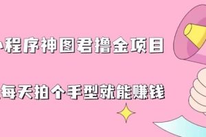 抖音小程序神图君撸金项目，用手机每天拍个手型挂载一下小程序就能赚钱【揭秘】-麦资源网
