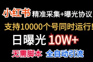 价值10万！小红书自动精准采集＋日曝光10w＋-麦资源网