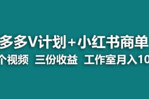 （7099期）【蓝海项目】多多v计划+小红书商单 一个视频三份收益 工作室月入10w打法-麦资源网
