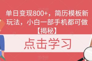 单日变现800+，简历模板新玩法，小白一部手机都可做【揭秘】-麦资源网