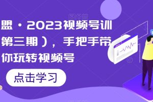 狼团联盟·2023视频号训练营，手把手带你玩转视频号-麦资源网