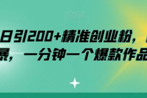 小红书日引200+精准创业粉，简单粗暴，一分钟一个爆款作品【揭秘】-麦资源网