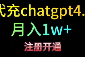 代充chatgpt4，日入500+，精准引流，暴力变现【揭秘】-麦资源网