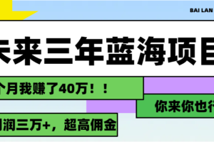 （11716期）未来三年，蓝海赛道，月入3万+-麦资源网
